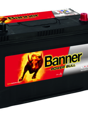 Power Bull P9504