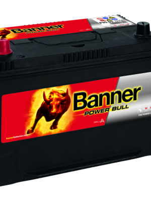Power Bull P9505