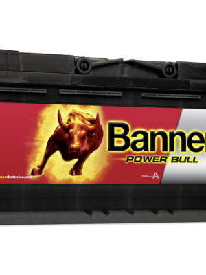 Power Bull P10040